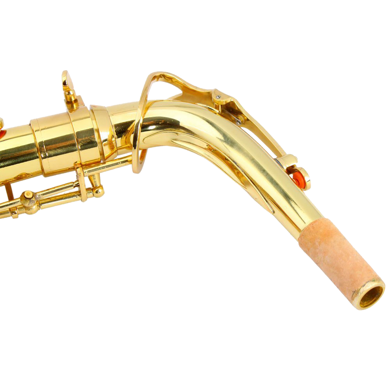 Z ZTDM Professional Alto Eb Saxophone sax with Mouthpiece Paint
