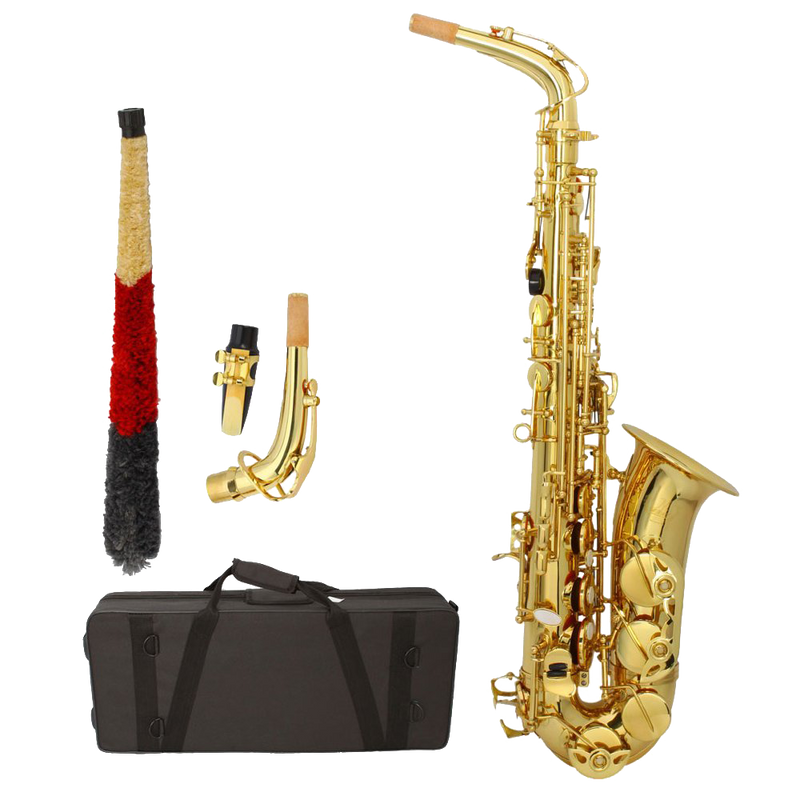 Z ZTDM Professional Alto Eb Saxophone sax with Mouthpiece Paint