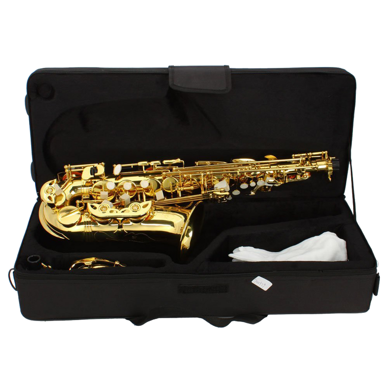Z ZTDM Professional Alto Eb Saxophone sax with Mouthpiece Paint