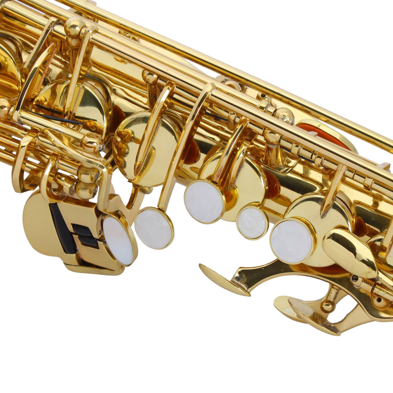 Z ZTDM Professional Alto Eb Saxophone sax with Mouthpiece Paint