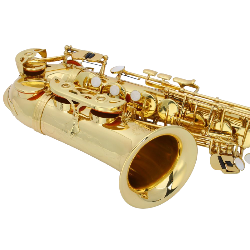Z ZTDM Professional Alto Eb Saxophone sax with Mouthpiece Paint