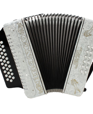 Rizatti Bronco RB31GW Diatonic Accordion