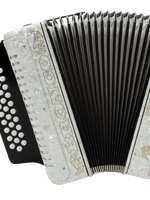 Rizatti Bronco RB31GW Diatonic Accordion