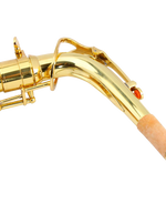 Z ZTDM Professional Alto Eb Saxophone sax with Mouthpiece  Paint