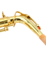 Z ZTDM Professional Alto Eb Saxophone sax with Mouthpiece  Paint