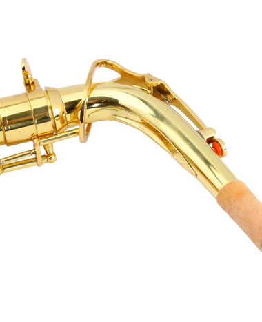 Z ZTDM Professional Alto Eb Saxophone sax with Mouthpiece  Paint