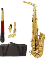 Z ZTDM Professional Alto Eb Saxophone sax with Mouthpiece  Paint