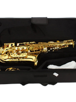 Z ZTDM Professional Alto Eb Saxophone sax with Mouthpiece  Paint