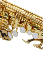 Z ZTDM Professional Alto Eb Saxophone sax with Mouthpiece  Paint