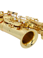 Z ZTDM Professional Alto Eb Saxophone sax with Mouthpiece  Paint